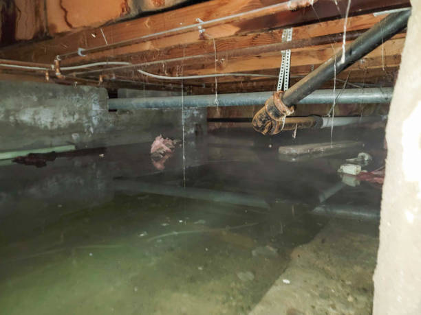 Best Emergency water damage restoration  in Manhasset, NY