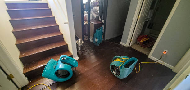 Best Water damage restoration near me  in Manhasset, NY