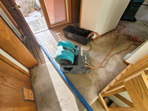 Sewage cleanup and water damage restoration in Manhasset, NY