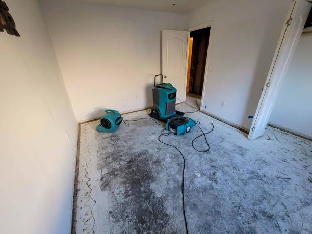 Best Flood restoration services  in Manhasset, NY
