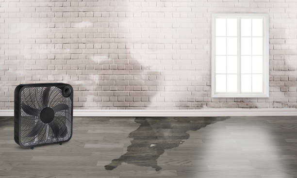 Professional Water damage restoration in Manhasset, NY