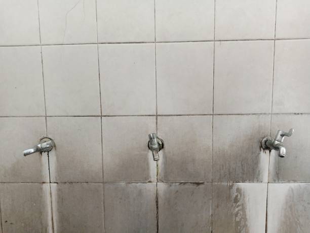 Best Water damage restoration near me  in Manhasset, NY