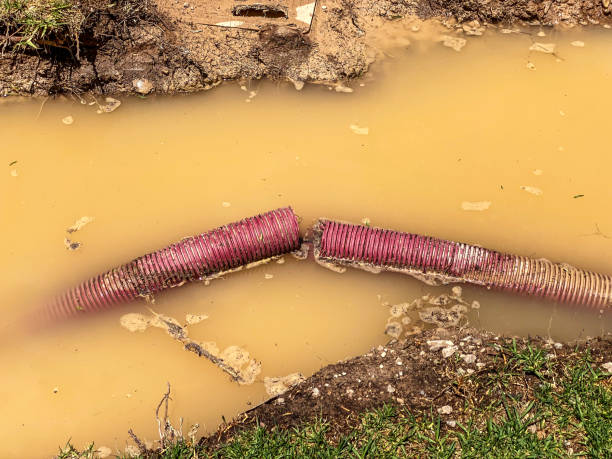 Best Basement water damage restoration  in Manhasset, NY
